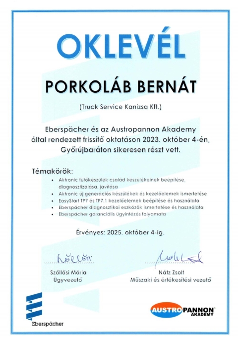 eberspacher_porkolab_bernat